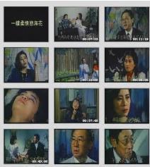 一縷柔情欲?；? class=